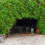 تور کیش هتل فلامینگو تصویر 21