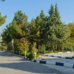 تور مشهد هتل ثامن تصویر 2
