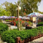 تور کیش هتل فانوس تصویر 11