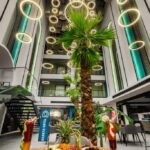 تور قشم هتل آراکتا تصویر 4