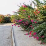 تور قشم هتل پارک تصویر 4