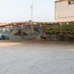 تور قشم هتل پارک تصویر 3