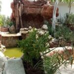 تور کیش هتل سیمرغ تصویر 10
