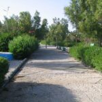 تور کیش هتل سیمرغ تصویر 5