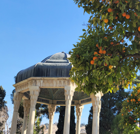 شیراز از تهران