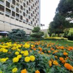 تور تهران هتل پارسیان استقلال تصویر 3