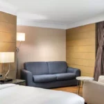 تور استانبول هتل رادیسون بلو | RADISSON BLU SISLI تصویر 4
