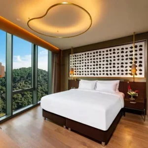 تور استانبول هتل رادیسون کالکشن وادی | Radisson Collection Vadistanbul