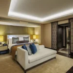 تور استانبول هتل کنراد بسفروس | Conrad Istanbul Bosphorus تصویر 13