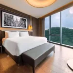 تور استانبول هتل رادیسون کالکشن وادی | Radisson Collection Vadistanbul تصویر 5