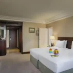 تور استانبول هتل هیلتون بسفوروس | Hilton Istanbul Bosphorus تصویر 13