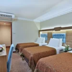 تور استانبول هتل بودو (Budo Hotel) تصویر 4