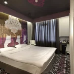 تور استانبول هتل تولیپ سیتی (Tulip City Hotel) تصویر 23