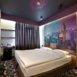 تور استانبول هتل تولیپ سیتی (Tulip City Hotel) تصویر 6