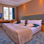 تور استانبول هتل پرا تولیپ | Pera Tulip Hotel تصویر 14