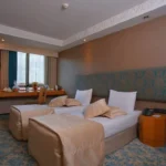 تور استانبول هتل پرا تولیپ | Pera Tulip Hotel تصویر 13